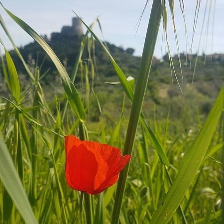 La Casina Di Nonna Giulia Apartman Castiglione dʼOrcia Kültér fotó