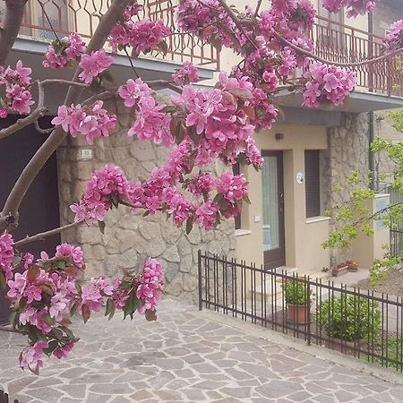 La Casina Di Nonna Giulia Apartman Castiglione dʼOrcia Kültér fotó