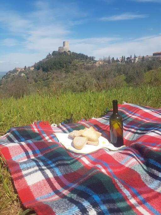 La Casina Di Nonna Giulia Apartman Castiglione dʼOrcia Kültér fotó