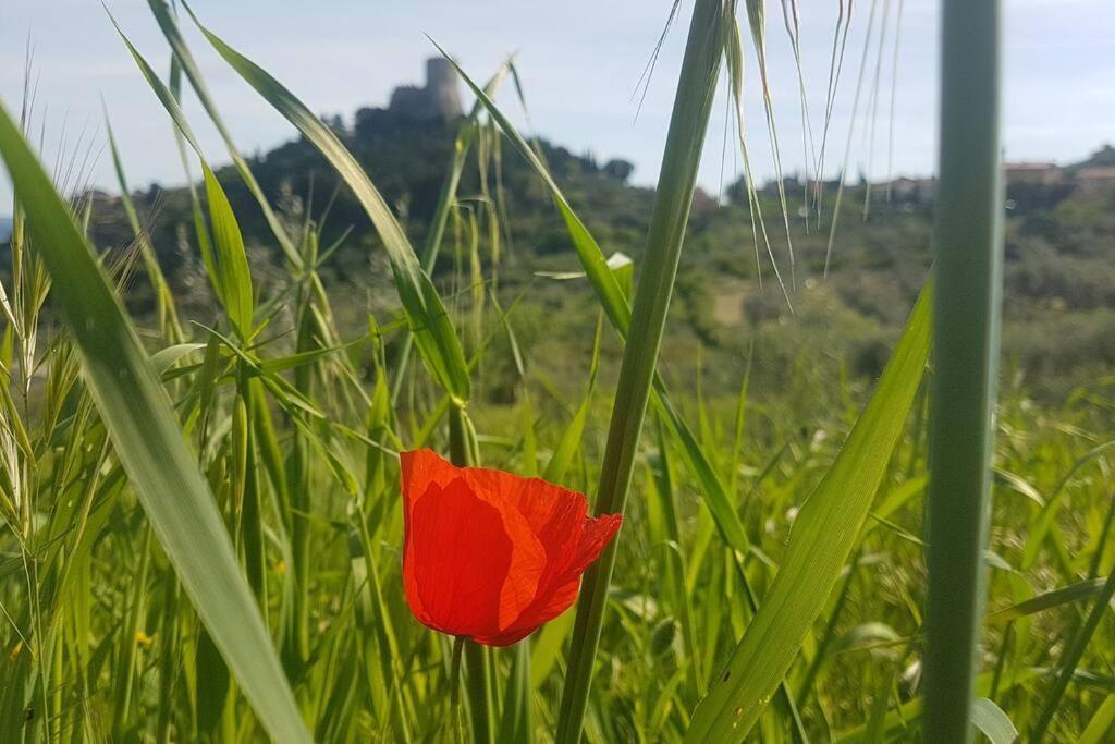 La Casina Di Nonna Giulia Apartman Castiglione dʼOrcia Kültér fotó