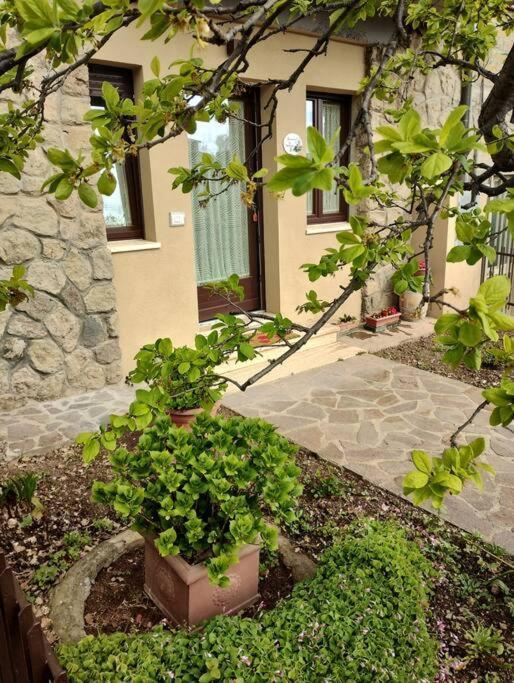 La Casina Di Nonna Giulia Apartman Castiglione dʼOrcia Kültér fotó
